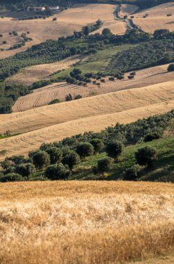 Abruzzo tepeler haddeleme Tarih Zeytinlik ve manzarayı çiftlikleri 