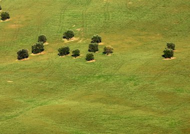  Abruzzo tepeler haddeleme Tarih zeytinlik görünümü. İtalya