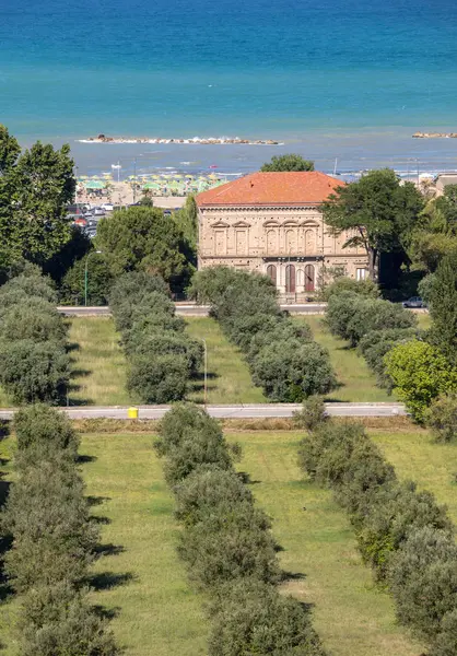 Olive Grove Och Adriatiska Kusten Roseto Degli Abruzzi Italien — Stockfoto