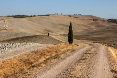 Tuscany kırsal manzara. İtalya