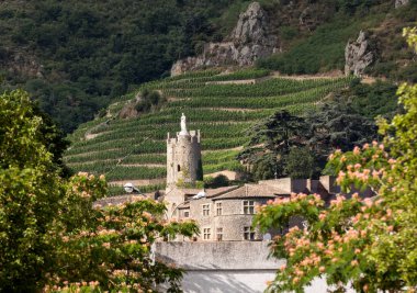 M. görünümünü Chapoutier Crozes-Hermitage üzüm bağları Tain l'Hermitage, Rhone Vadisi, Fransa