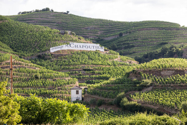 Tain l 'Hermitage, France - June 28, 2017: View of the M. Chapoutier Crozes-Hermitage vineyards in Tain l' Hermitage, Rhone valley, France
