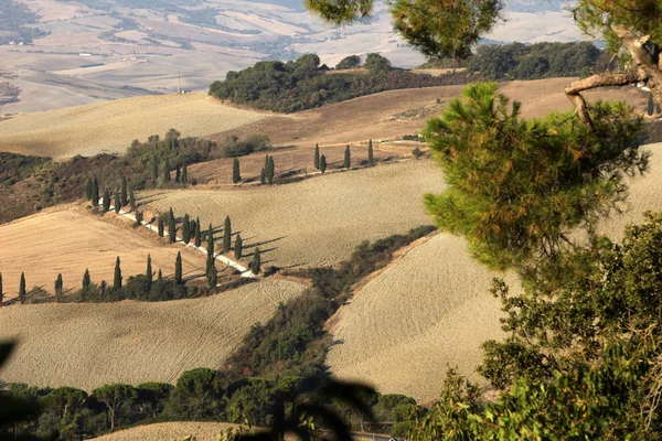 Wiejski Krajobraz Toskanii Włochy — Zdjęcie stockowe