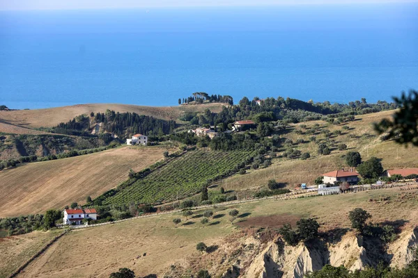 Panorámás Kilátás Nyílik Olajfaligetek Gazdaságok Dombok Abruzzo Háttérben Adriai Tengerre — Stock Fotó