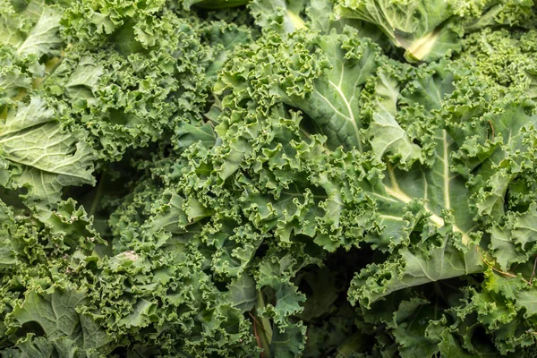 Sağlıklı taze kıvırcık lahana