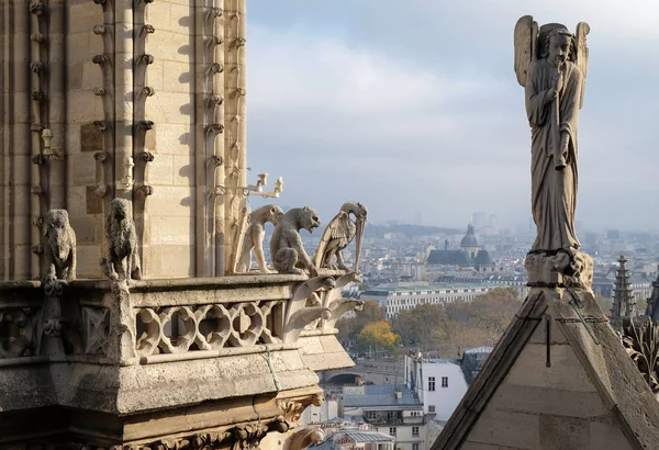 Quimeras Gárgulas Catedral Notre Dame Paris Com Vista Para Paris — Fotografia de Stock