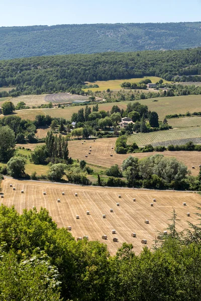 Lappendeken Van Farmer Velden Vallei Hieronder Sault Provence Frankrijk — Stockfoto