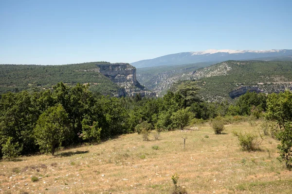 Paisaje Departamento Vaucluse Provenza Mont Ventoux Fondo Francia —  Fotos de Stock