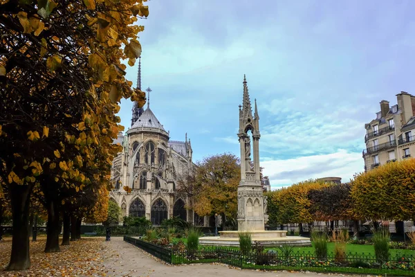 Paris France Novembre 2017 Cathédrale Notre Dame Paris Belle Cathédrale — Photo