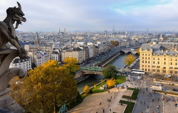 Notre Dame Paris Katedrális Kimérái Vízköpők Kilátással Párizsra Franciaországra — Stock Fotó