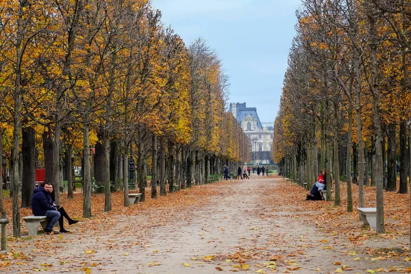 Paris France Nevember 2017 Avenue Trees Autumn Leading Musee Louvre — Stock Photo, Image