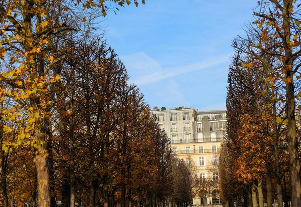 Herbst Jardin Des Tuileries Paris Frankreich — Stockfoto