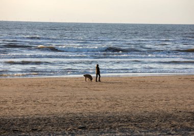 Katwijk, Hollanda - 23 Nisan 2017: Güneşli bir günde Katwijk plaj boyunca yürüyen bir köpek olan bir kadın. Hollanda