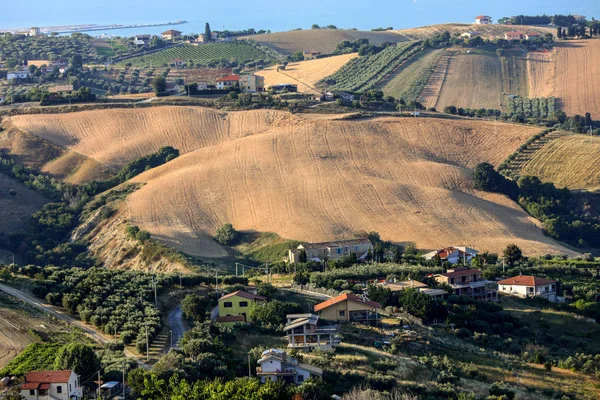 Πανοραμική Άποψη Ελαιώνων Και Αγροκτήματα Πάνω Πολυάριθμους Λόφους Του Abruzzo — Φωτογραφία Αρχείου