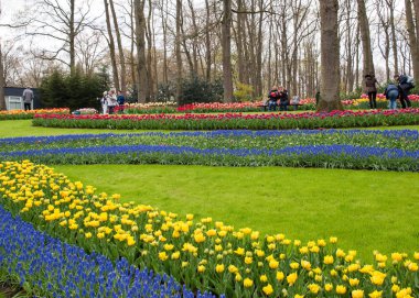 Lisse Hollanda - 19 Nisan 2017: Lisse, Hollanda, Hollanda Keukenhof bahçesinde renkli çiçekler.