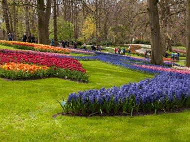 Lisse Hollanda - 19 Nisan 2017: Lisse, Hollanda, Hollanda Keukenhof bahçesinde renkli çiçekler.