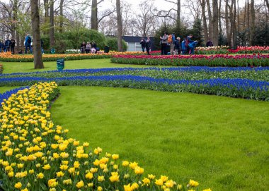 Lisse Hollanda - 19 Nisan 2017: Lisse, Hollanda, Hollanda Keukenhof Garden ziyaretçi.