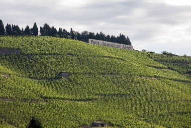 Tain l'Hermitage, Fransa - 28 Haziran 2017: M. görünümünü Chapoutier Crozes-Hermitage üzüm bağları Tain l'Hermitage, Rhone Vadisi, Fransa