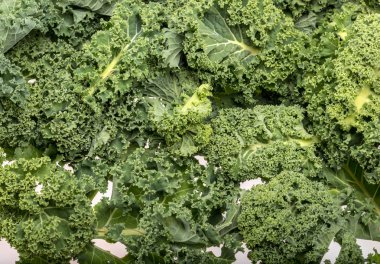 Sağlıklı taze kıvırcık lahana