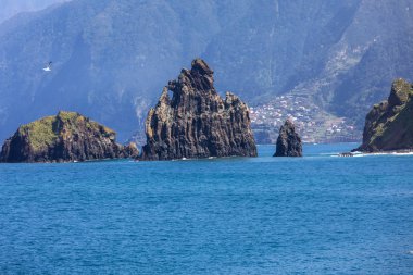 Madeira Adası, Porto Moniz 'deki sahil şeridi. Portekiz