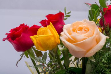 Bouquet of assorted multicolored roses isolated on white background  clipart