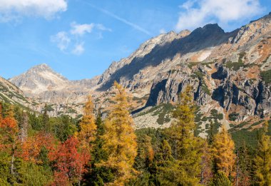 Vysoke Tatry 'deki Büyük Soğuk Vadi (High Tatras), Slovakya. Büyük Soğuk Vadi 7 km uzunluğundadır ve turistler için çok çekicidir.