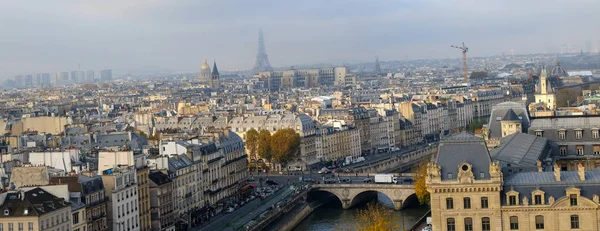 Panoramik Paris Şehrinde Notre Dame Katedrali Nin Görüldüğü Gibi — Stok fotoğraf