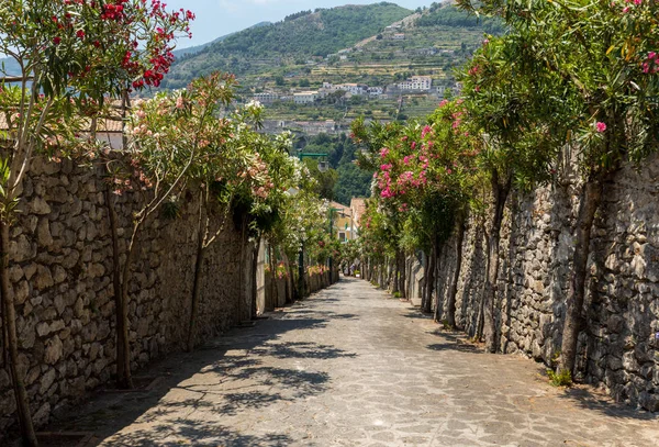 Una Estrecha Calle Empinada Con Adelfas Florecientes Ravello Costa Amalfitana — Foto de Stock