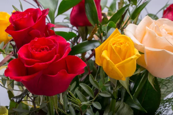 Bukett Diverse Mångfärgade Rosor Isolerad Vit Bakgrund — Stockfoto