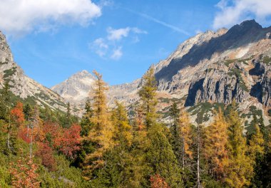 Vysoke Tatry 'deki Büyük Soğuk Vadi (High Tatras), Slovakya. Büyük Soğuk Vadi 7 km uzunluğundadır ve turistler için çok çekicidir.