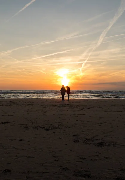 人の女性は カトワイク アーンのビーチで夕日を見ています オランダ — ストック写真