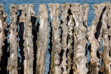 Büyük dalgalar, şehri gelgitlerden korumak için 3000 sandık, Saint-Malo Plage de l 'ventail plajı, Ille-et-Vilaine, Brittany
