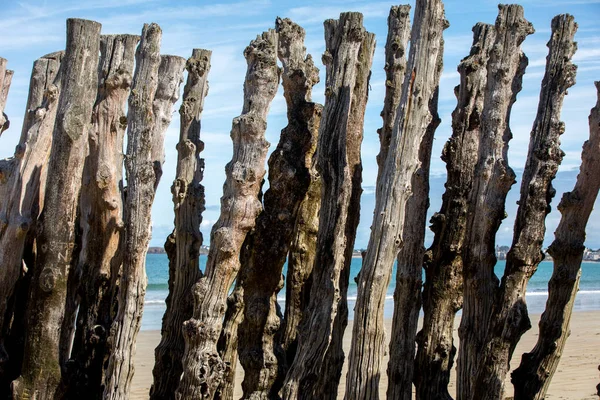 Nagy Hullámtörő Víz 3000 Fatörzs Hogy Megvédje Várost Dagálytól Plage — Stock Fotó