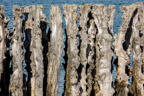 Büyük Dalgalar Şehri Gelgitlerden Korumak Için 3000 Sandık Saint Malo — Stok fotoğraf