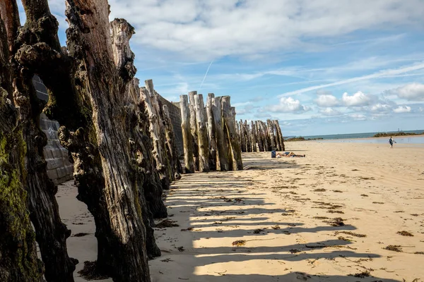 Nagy Hullámtörő Víz 3000 Fatörzs Hogy Megvédje Várost Dagálytól Plage — Stock Fotó