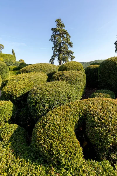 フランスのドルドーニュ地方のジャルダン マルケイ サック城の庭園でのトピアリー — ストック写真