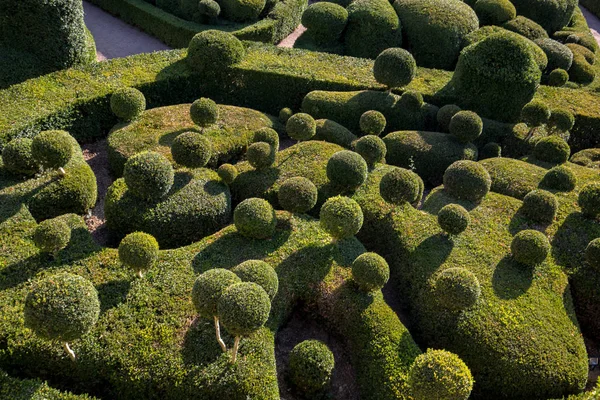 Jardins Marqueyssac Fransa Nın Dordogne Bölgedeki Bahçelerde Budama Sanatı — Stok fotoğraf