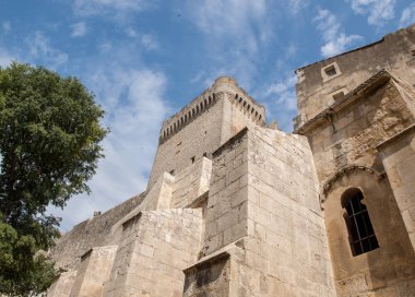 Arles, Fransa yakınlarındaki Montmajour 'da Aziz Peter Manastırı