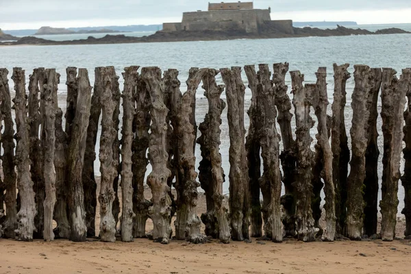 Stora Vågbrytaren 3000 Stammar Att Försvara Staden Från Tidvatten Stranden — Stockfoto