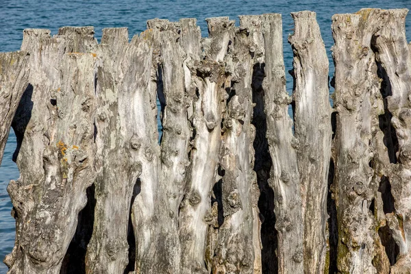 Big Breakwater 3000 Trunchiuri Pentru Apăra Orașul Maree Plage Lventail — Fotografie, imagine de stoc