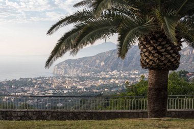 Napoli Körfezi ve Vesuvius palmiye ağacı içinde belgili tanımlık geçmiş
