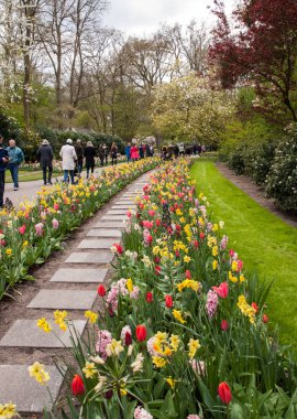 Lisse Hollanda - 19 Nisan 2017: Lisse, Hollanda, Hollanda Keukenhof Garden ziyaretçi.