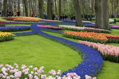 Lisse Hollanda - 19 Nisan 2017: Lisse, Hollanda, Hollanda Keukenhof Garden ziyaretçi.