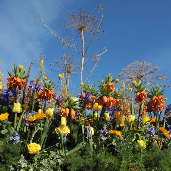 Décoration Florale Avec Des Fleurs Tropicales Contre Ciel Bleu — Photo