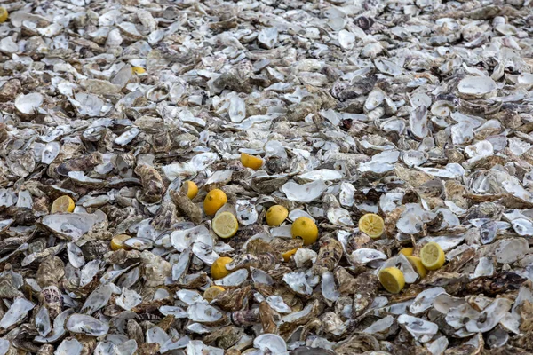 成千上万只空壳的被吃掉的牡蛎被丢弃在米盖尔的海底 以牡蛎养殖场闻名 法国布列塔尼 — 图库照片