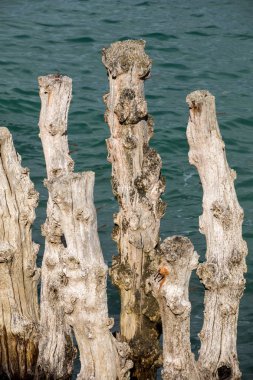 Büyük dalgakıran, gelgit şehirden, Saint-Malo, Ille-et-Vilaine, Brittany, Fransa Plage de l'ventail Beach'te savunmak için 3000 gövdeleri.