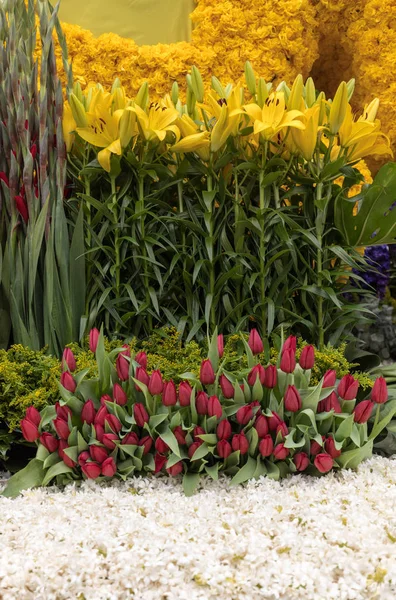 Dekoracje Florystyczne Lilie Żółte Czerwone Tulipany — Zdjęcie stockowe
