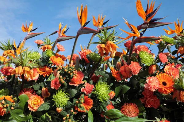 Florystyczne Dekoracje Kwiatów Tropikalnych Przeciw Błękitne Niebo — Zdjęcie stockowe