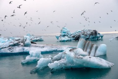 İzlanda'daki Jokulsarlon güzel buzul lagün içinde buzdağları. Jokulsarlon ünlü seyahat yer Vatnajokull Milli Parkı, İzlanda,