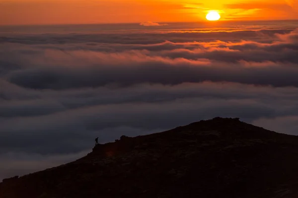 Silhouette Mann Åskammen Skyene Tåkete Fjell Ved Solnedgang Island – stockfoto